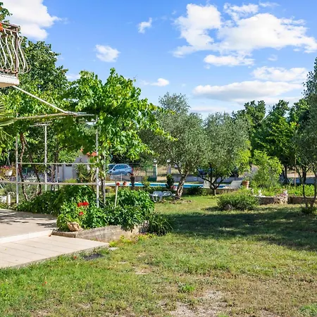 Amazing In With Wifi *